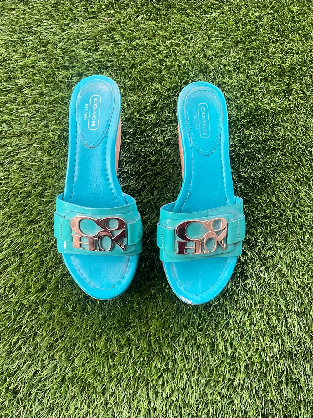 Blue coach wedge